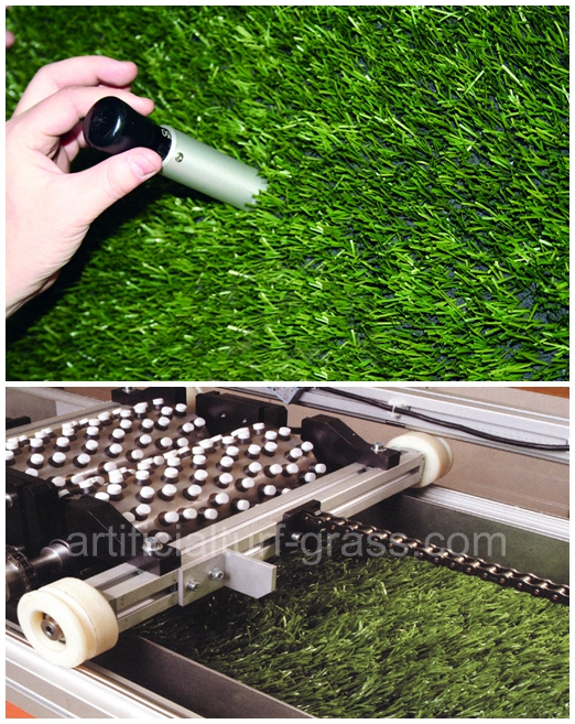All Victory Grass (Guangzhou) Co., Ltd کنترل کیفیت 0